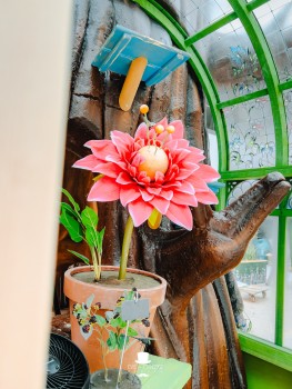 Wijnegem Shopping | Spring Garden