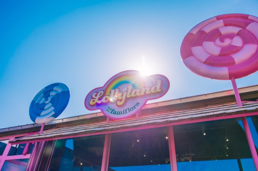 Lollyland | Famiflora