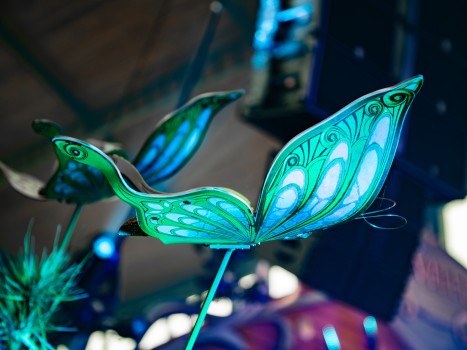 Tomorrowland Invited | Festival Stage Tomorrowland Invited | Festival Stage