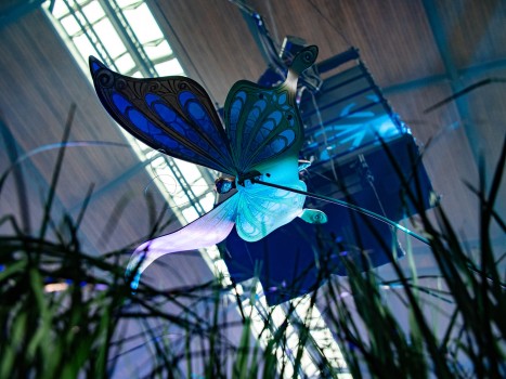 Tomorrowland Invited | Festival Stage Tomorrowland Invited | Festival Stage