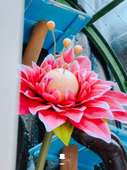 Wijnegem Shopping | Lentetuin Wijnegem Shopping | Lentetuin