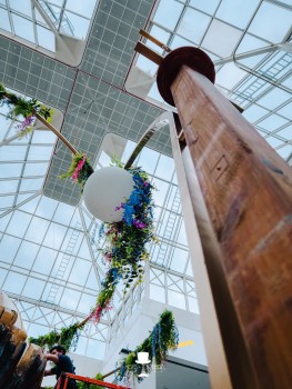 Wijnegem Shopping | Lentetuin Wijnegem Shopping | Lentetuin