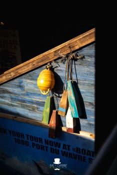 Walibi Belgium | Dock World Walibi Belgium | Dock World