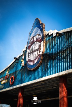 Walibi Belgium | Dock World Walibi Belgium | Dock World