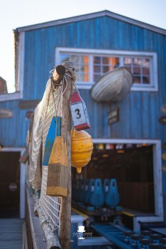 Walibi Belgium | Dock World Walibi Belgium | Dock World