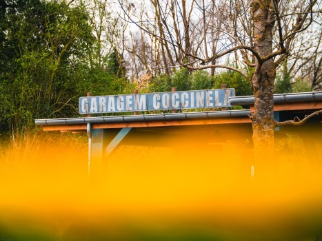 Bellewaerde | Mundo Amazonia Bellewaerde | Mundo Amazonia