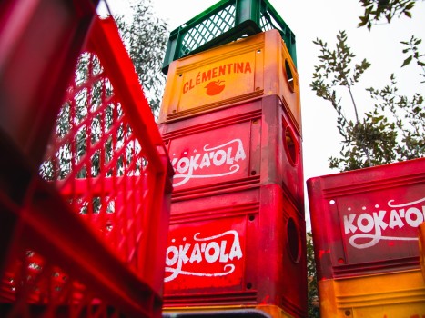 Bellewaerde | Mundo Amazonia Bellewaerde | Mundo Amazonia