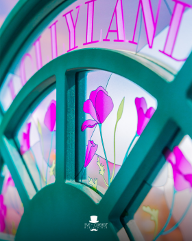 Lollyland | Famiflora